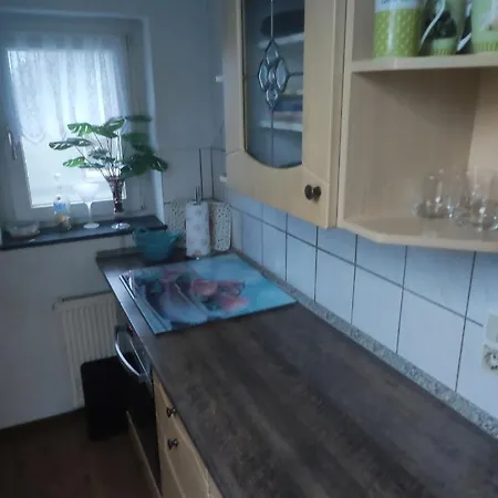 Kleine Gemuetliche Wohnung Zwickau Eksteriør billede
