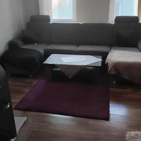 Kleine Gemuetliche Wohnung Zwickau Eksteriør billede